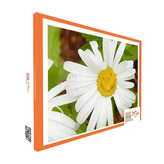 Happy Daisy Puzzle — wrightpix photo gifts